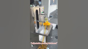 ST-ZXP Automatic Pumpkin Peeling Machine  #fruitpeelingmachine #automaticpeelingmachine #fruitproces