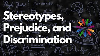 What's the Difference Between Stereotypes, Prejudice, and Discrimination? | MCAT