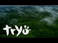 Capture de la vidéo Tryo — L'hymne De Nos Campagnes