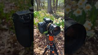 PL to Fujifilm GFX Lens Adapter #photography #filmmaking #fujifilm