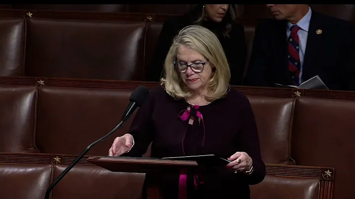 Rep. Carol Miller House Floor Speech on The Family and Small Business Taxpayer Protection Act