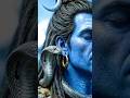 🔥 गंगा दर्शन कर लो, शिव शंकर बुला रहे हैं#viral #shorts