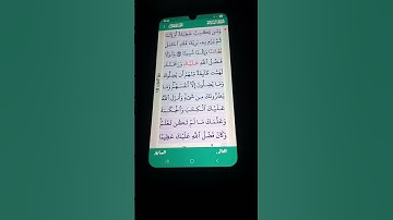 سورة النساء الآية 112-113 سعد الغامدي