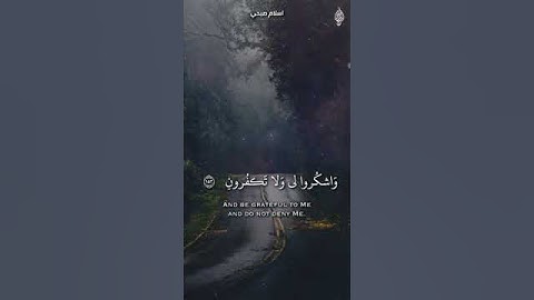 {فاذْكُرونيٓ أذْكُرْكم واشكروا لي ولا تكفرون} ||  القارئ إسلام صبحي