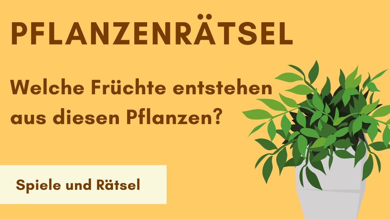 Rtsel  Kennst du diese 4 Pflanzen und ihre Frchte?