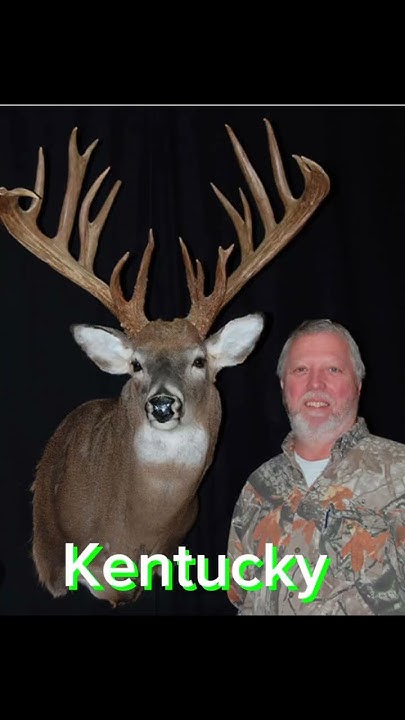 biggest-deer-shot-in-every-state-pt2-bigbucks-deer-youtube
