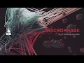 Macrophage  deep drum  bass mix