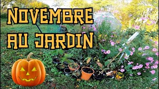 🎃 Novembre 🎃 Quoi faire au jardin potager en permaculture ? Semis Plantation Entretien & Serre