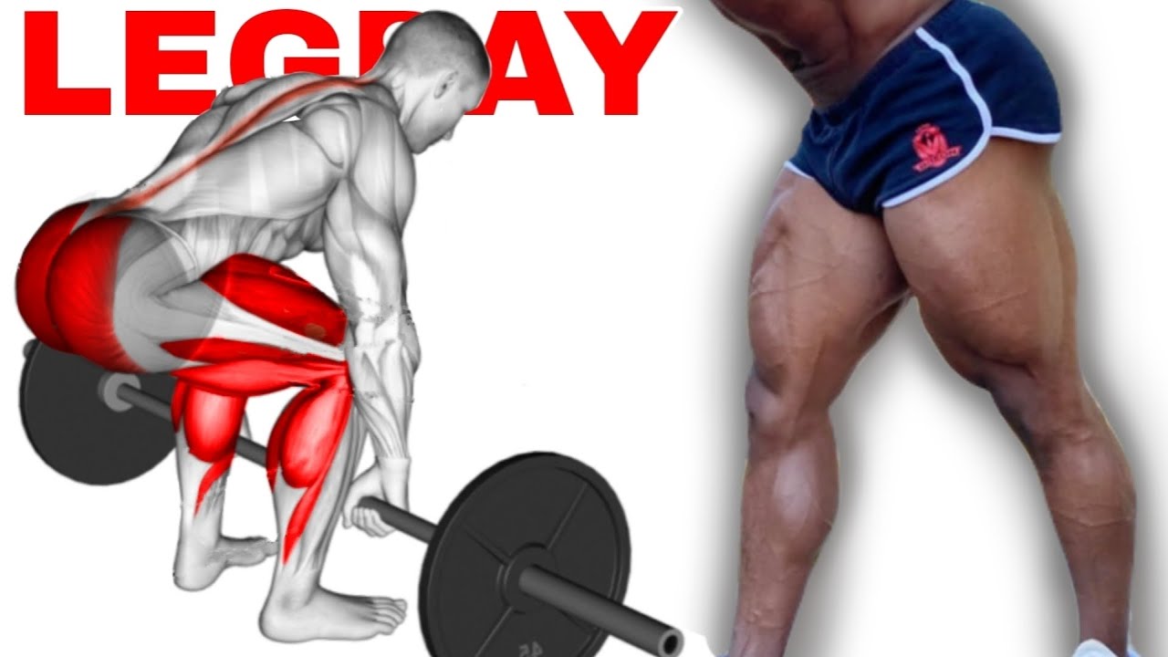 Super Treino de Pernas Posteior e Quadricpes