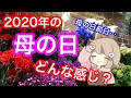 【質疑応答】今年の母の日どんな感じ？