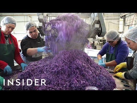 Video: Interessante Sauerkraut-Fakten