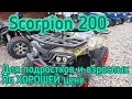 Квадроцикл для подростка и взрослого по хорошей цене! Обзор Scorpion 200