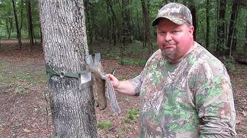 The Squirrel Cleaning Buddy