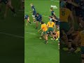 Palu barges over!