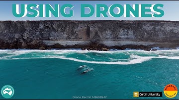 ARWR | Using Drones for Whale Research