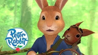 Peter Rabbit - Chasing Nutkin | Cartoons for Kids