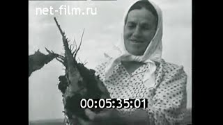 1967г. колхоз Дружба Винницкая обл