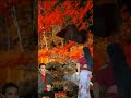 هيا نحطو كاجو باه نترانجو شيخ كريمة 2023