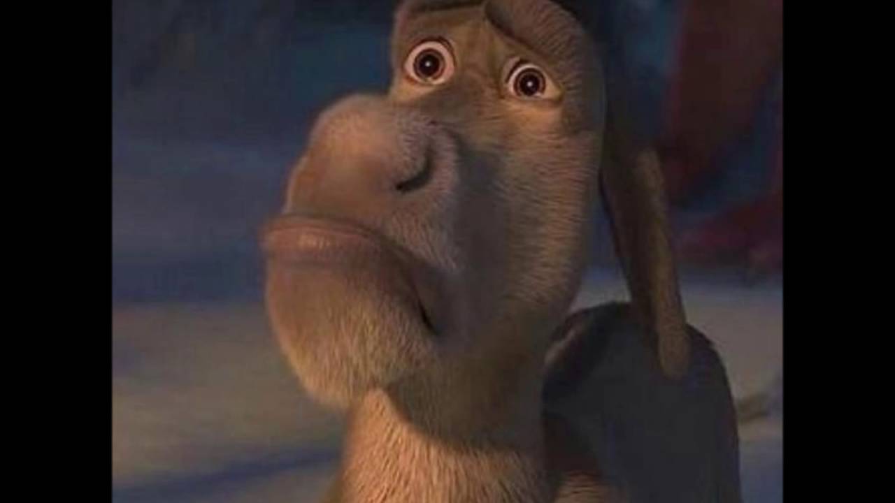 K  K PHILIPS - GNAAGMA