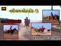 Kutch horse race navinar horse race  2952023kutchhorserace mustafasumra47horse kutch