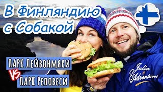 В Финляндию с собакой (часть 4) - Национальные парки Leivonmäki и Repovesi