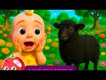 Baa Baa Black Sheep – Fun Sing-Along Adventure | Nissy Kids 🖤🐑