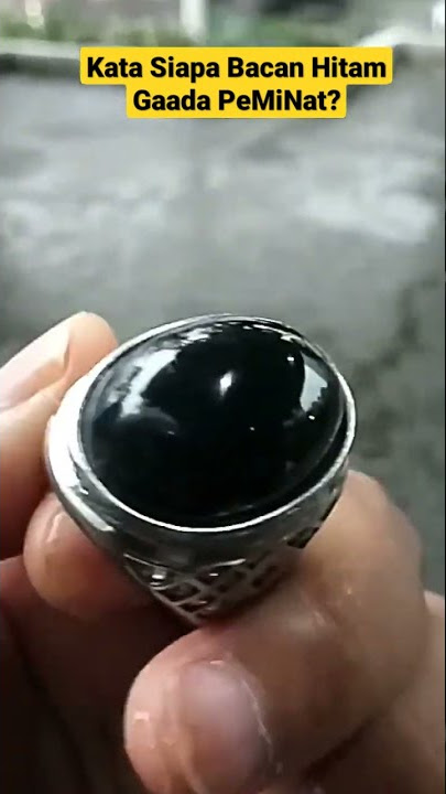 Bacan Majiko Hitam HQ Natural Semakin Diburu #shorts #bacan