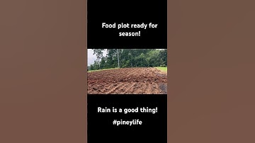 Food plot! Burn, plow, Till, seed, pack! #pineylife #deer #hunting #weedkiller