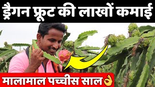 ड्रैगन फ्रूट खेती | Commercial Dragon Fruit Farming Profit Maharashtra | Indian Farmer screenshot 4