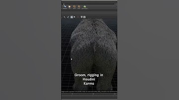 Houdini groom, Rigging, texture, modeling  #houdini #houdiniart #3d