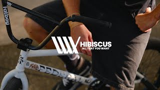 Download Lagu LUXBMX - All That You Want - Hibiscus Skatepark MP3