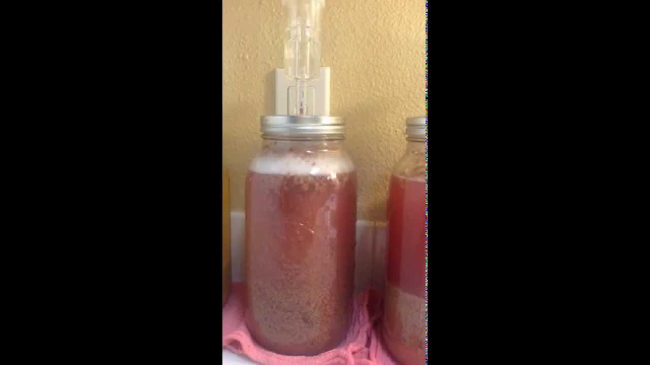 Fermenting Grape Juice to make Vinegar YouTube
