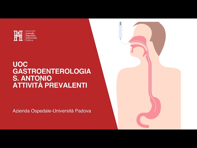UOC Gastroenterologia S. Antonio - Attività prevalenti