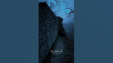 قرآن كريم #ياسر_الدوسري #yasseraldossary #اكسبلور #لايك