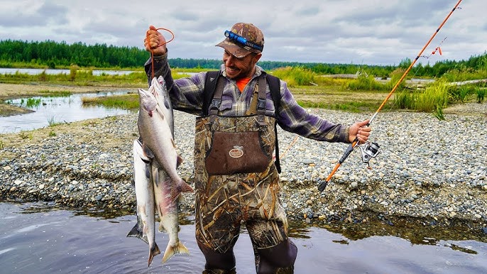 Dip Net Fishing Sockeye Salmon  Alaska Provides Our Food 