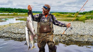 Fishing for Coho Salmon in Alaska