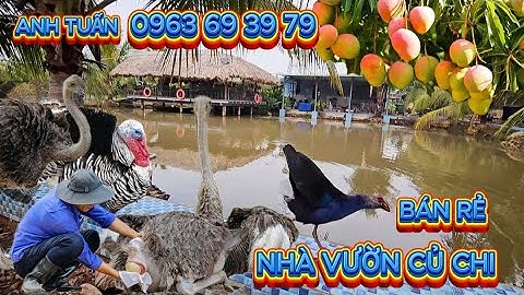 🛑NHÀ VƯỜN CỦ CHI 9000M2 HẠ GIÁ SÂU - CHÍNH CHỦ CẦN BÁN GẤP - RẺ NHẤT KHU VỰC CHỈ HƠN 1 TRIỆU /m2