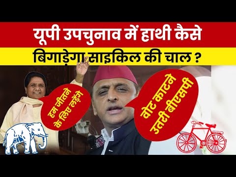 4 सीटों पर एसपी और 3 पर बीजेपी को हरवा रही हैं मायावती, योगी की राह आसान नहीं #mayawati