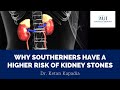 Why southerners have a higher risk of kidney stones  dr ketan kapadia