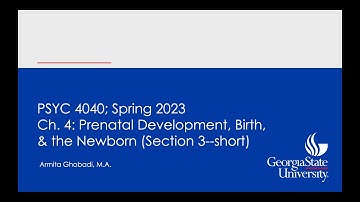 Chapter Four--Section Three.