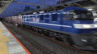 【鹿島貨物】EF210-151＋コキ14両が市川駅を通過するシーン（1092レ）2025.08.29