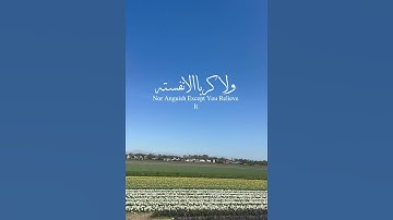 ايات من القران الكريم #اكسبلور #استغفرالله #دويتو #تيك_توك #راحة_نفسية #تصويري #ترند #لايك