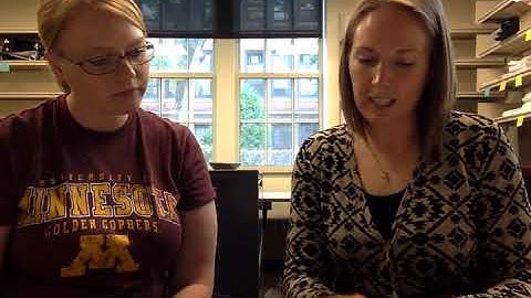 Decision Making Rubric