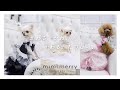 かわいい犬の服ブランド「mimi merry」（ミミーメリー）からペットドレスデビュー