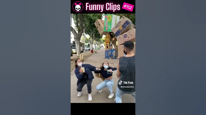 Video 6906871: compilation funny, compilation amazing, funny cat