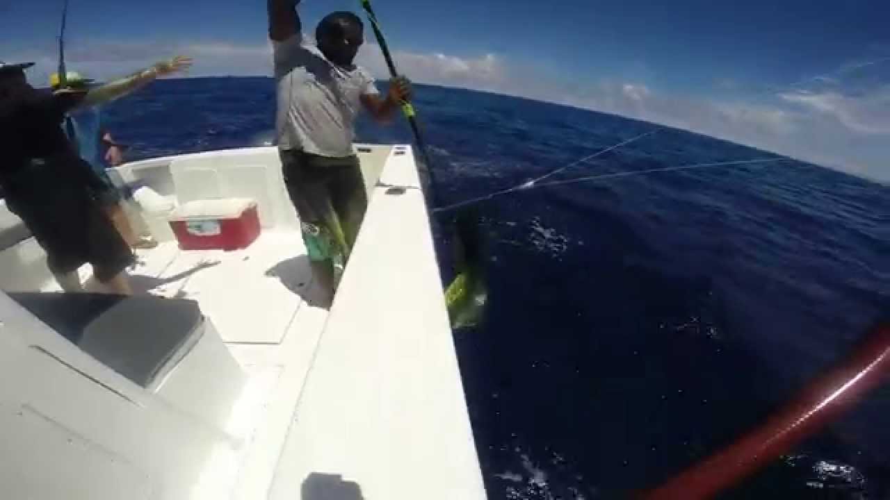 Freedive Fiji Game Fishing 2014 YouTube