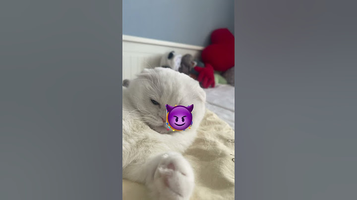 Прохожу маски #cat #cute