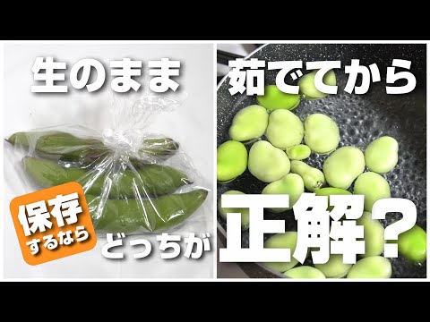 そら豆の保存は生のまま、茹でてからのどっちが正解？保存の仕方で味に違いは出るの？
