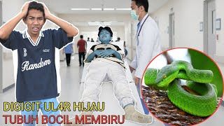 KASIHAN BOCIL😭BADANNYA MEMBIRU GARA GARA DIGIG1T UL4R BERBIS4??ARIK PANIK | Mikael TubeHD