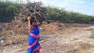 மாலை நேரத்திலிருந்து இரவு தூங்கும் வரை பார்க்கும் அன்றாட வேலைகள்